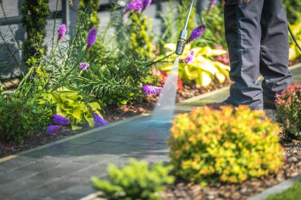 Best Sidewalk and Walkway Cleaning  in Brandon, FL