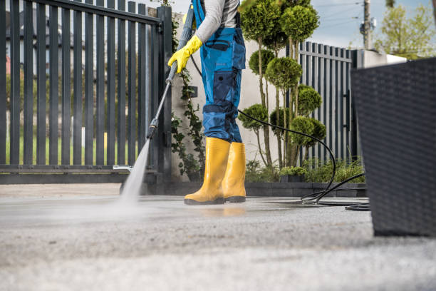 Best Fence Cleaning  in Brandon, FL