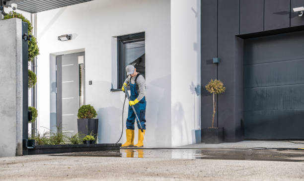 Solar Panel Cleaning in Brandon, FL
